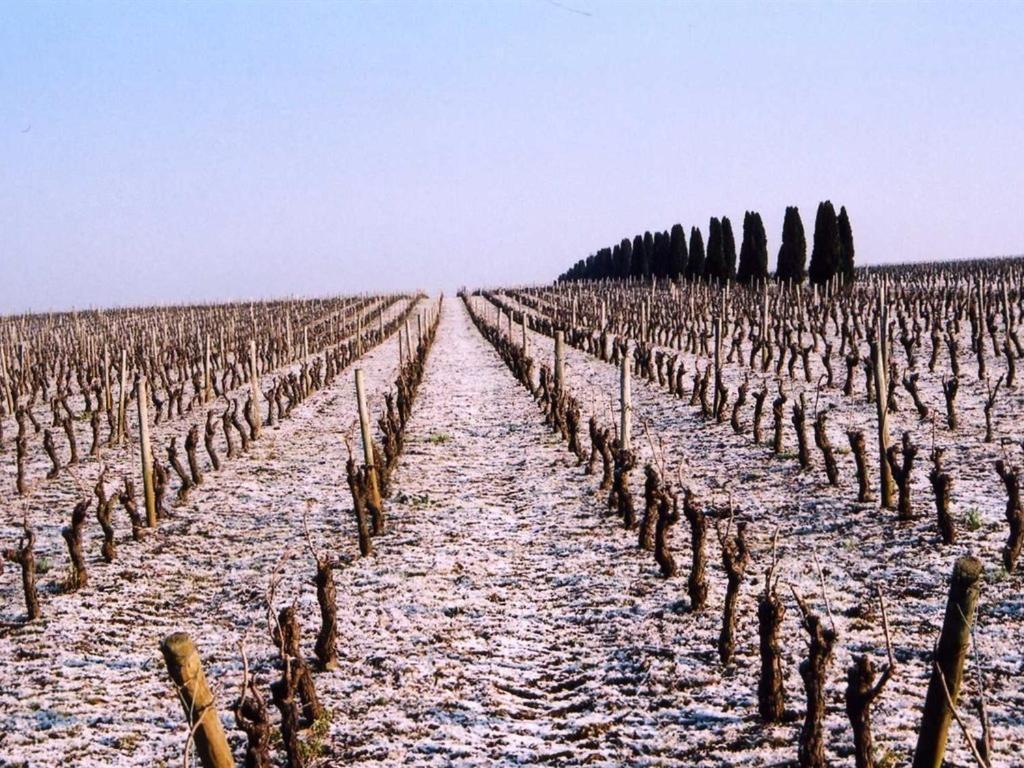 Chateau De La Galissonniere Le Pallet Екстериор снимка